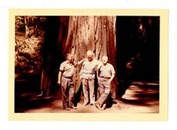 Men by redwood tree in Bohemian Grove
