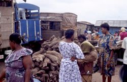 Yam Traders at Wholesale Yards