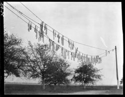 Washing on line, Parris Island