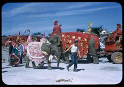 Elephants & Little Emily Ringling Circus