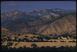 San Rafael Mtns. north of Santa Ynez river near Red Rock Canyon, Sta Barbara county