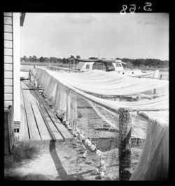 Drying nets, Tarpon Springs