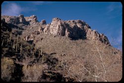 High ridge above Sabino Canyon - Santa Catalina Mtns.