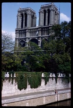 Notre Dame de Paris from Petit Pont