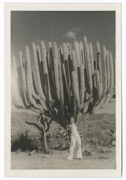 Item 0452. Eisenstein standing in front of cactus.