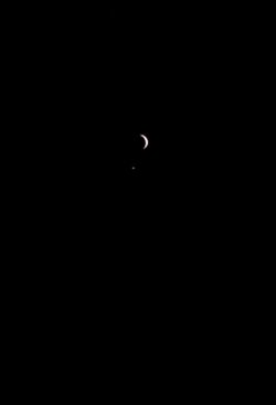 Venus and Luna 8 PM