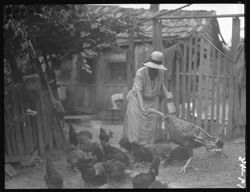 Series of shots at Grandma Barnes'--Mrs. Shulz, turkeys