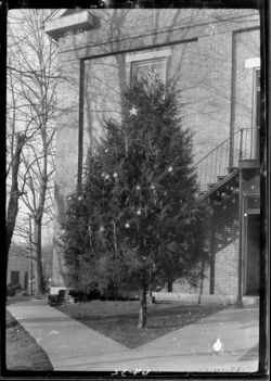 Christmas tree in front of court house