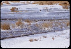 Alkali beds along road south of Shoshone in SE Inyo county