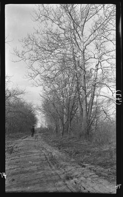 Above bridge at Broad Ripple, Frank walking, March 31, 1907, 4 p.m.