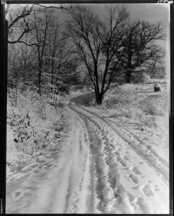 Copies of winter views, Murphy Road