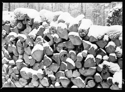 My woodpile