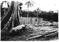 House frame for shop house