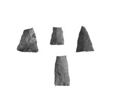 Ray Site Projectile Points