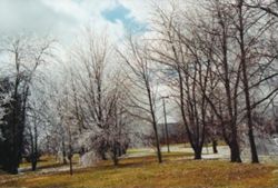 Seasonal View of Campus