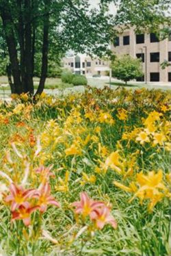 Seasonal View of Campus