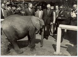 President William V. S. Tubman and small group look at small elephant