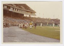 Congressional Baseball Game