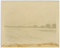 View of dyke