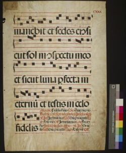 Gradual [Fragment]