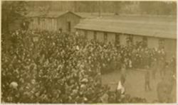Watching the raising of a flag pole on Armistice Day