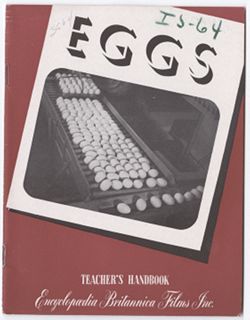 Eggs