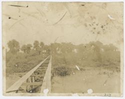 Man walks across a small wooden bridge