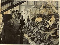 Mrs. Tubman, the Queen and Mrs. Tolbert admiring flowers