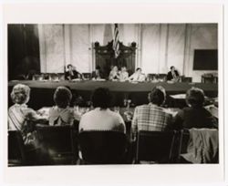 Hearings on School Violence