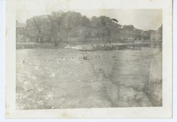 Swimming off the dock during an excursion