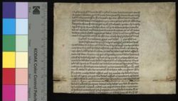 Loyola University Chicago Archives & Special Collections