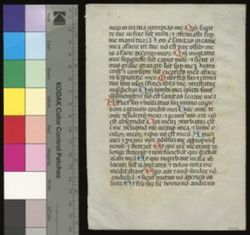 Breviary [Fragment]