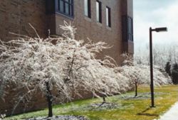 Seasonal View of Campus