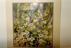 Congressional Art Competition for High School Students 1989