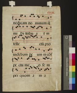 Gradual [Fragment]
