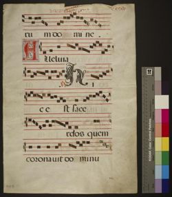 Gradual [Fragment]