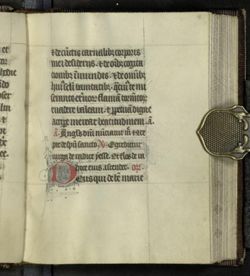 cow_004_001-00040.ptif