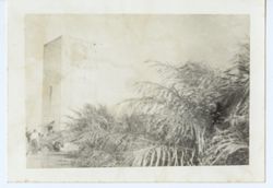 Sideview of men enetering building