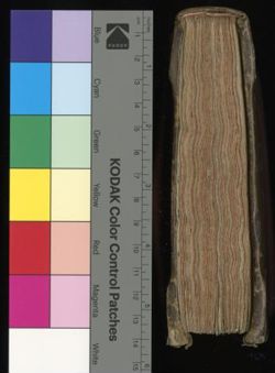 xau_002_001-00540.ptif