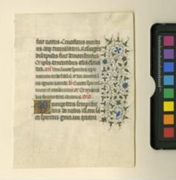 Book of Hours [Fragment]