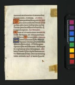 Book of Hours [Fragment]