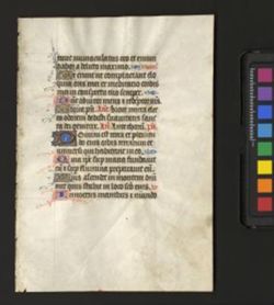 Book of Hours [Fragment]