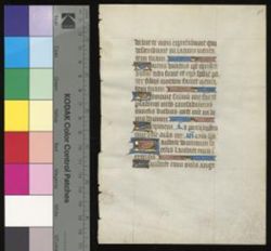 Book of Hours [fragment]