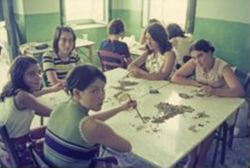 Sorting residue
