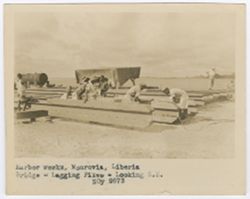 Lagging piles for the harbor bridge