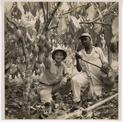 Men spraying plants