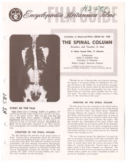 The Spinal Column