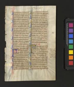 Breviary [Fragment]