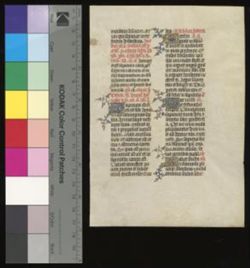 Breviary [Fragment]
