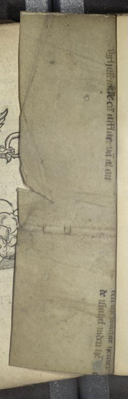 luc_010_001-00010.ptif